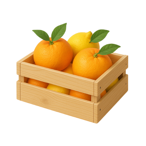 Box misto da Tavola 10kg